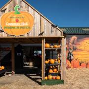 The Cammas Hall pumpkin patch opens at the end of September