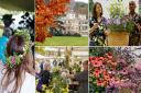 BBC Gardeners’ World Autumn Fair is being held at Audley End House and Gardens.