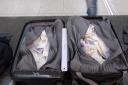 The cash was stuffed into suitcases at Stansted Airport