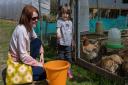 Visitors to Rainbow Rural Centre near Barnston were able to feed some of the animals during the open day