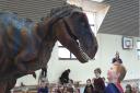 Getting up close to a Tyrannosaurus Rex at Felsted Prep School