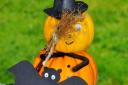There will be pumpkin fun at the Gardens of Easton Lodge on October 23.