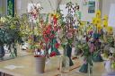 The Great Bardfield Horticultural Society recently held their spring show