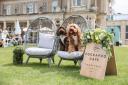 The Pop & Bark event is returning to Down Hall Hotel