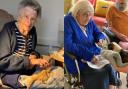 Residents at Croft House in Dunmow took part in an animal therapy session