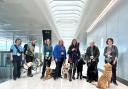 The guide dogs with their handlers at Stansted Airport