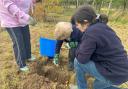 The annual bulb planting event took place at Old Park Meadow