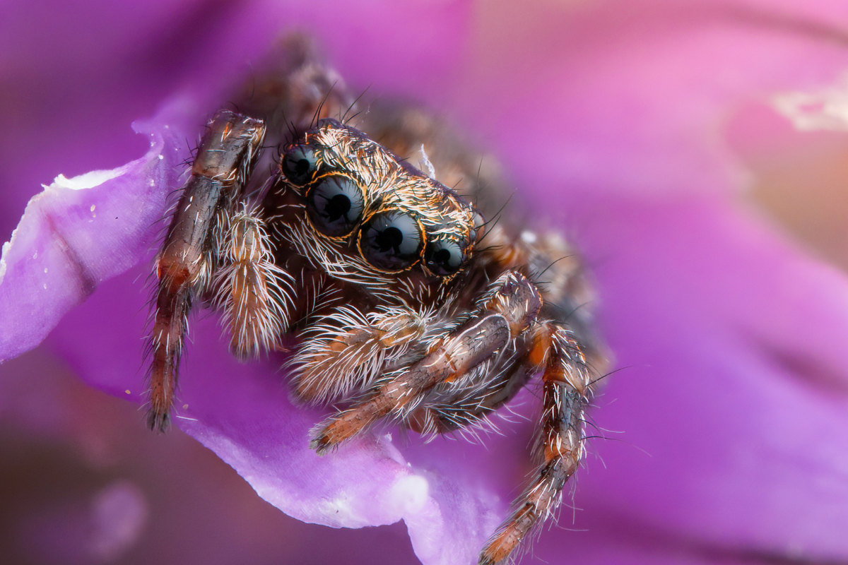 Essex photographer wins Wildlife Trust competition - Vimarsana News