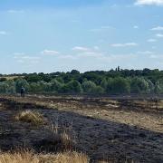 A blaze at Felsted almost destroyed crops, an Essex County Fire and Rescue Service spokesperson said