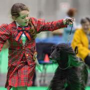 Luna Collins, 7, from Leaden Roding with her Afghan Hound D'Hari at Crufts 2022 at the NEC in Birmingham.
