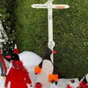 Martyn Phillips transformed his front garden into Lapland to 'peck' up first place in Rayne's penguin trail competition