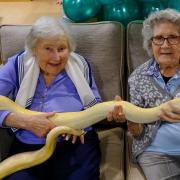 Stansted residents Doreen Barber and Mary Tierney with a snake for Care UK’s Mountfitchet House's version of the TV show, I’m a Celebrity Get Me Out Of Here