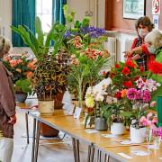 Visitors admiring the entries at Bardfield Horticultural Society's Summer Show