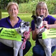 Ace Hounds are lending greyhounds to people in need in Uttlesford