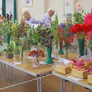 Beautiful flowers were on display at Bardfield Horticultural Society's summer show