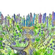 Cara Thompson's 'beautiful border' will feature at the BBC Gardeners' World Autumn Fair