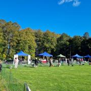 The Halloween Dog Show was held at the Gardens of Easton Lodge