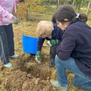 The annual bulb planting event took place at Old Park Meadow