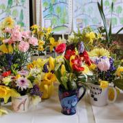 Flowers on display at the Bardfield Horticultural Society Spring Show