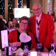 The St Clare Hospice Shimmer Ball