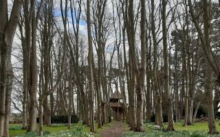 The recreation of Harold Peto's treehouse